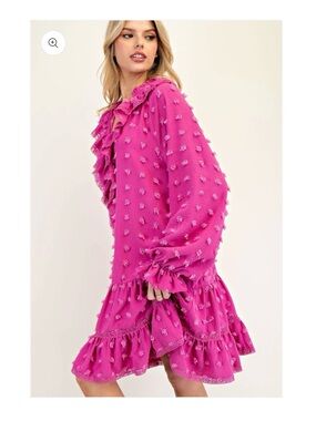 Easel Swiss dot Ruffle Long-Sleeve Mini Dress in Fuchsia